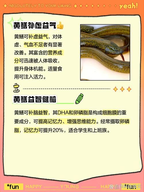 鳝始鳝终什么意思看完你就明白了