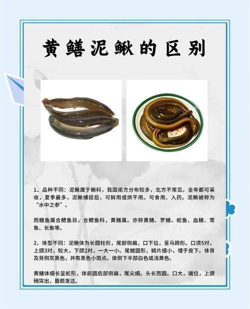 鳝始鳝终什么意思看完你就明白了