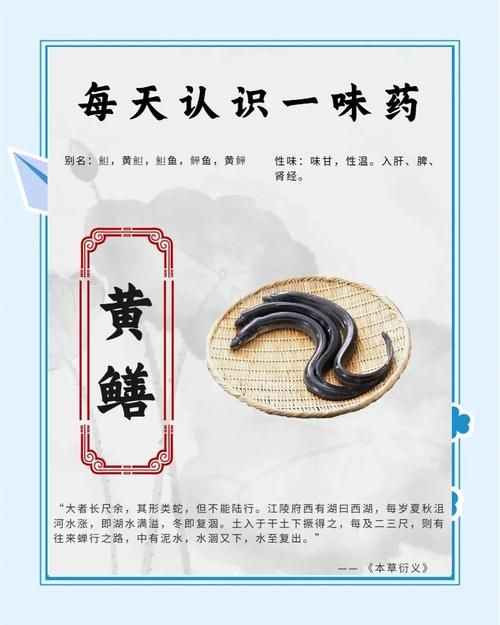 鳝始鳝终什么意思看完你就明白了