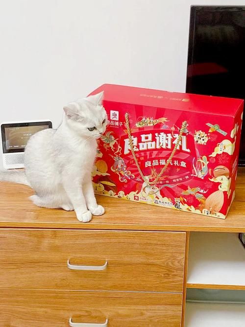 鸿运传承防具礼盒开箱测评 看看里面都有什么好东西