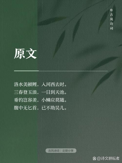 鹿鹿鱼鱼什么意思 年轻人都在用的新词