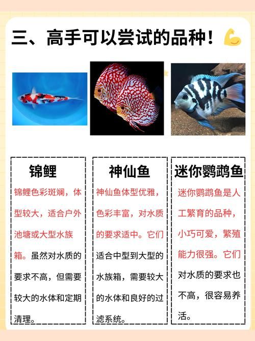 鹿鹿鱼鱼什么意思 年轻人都在用的新词