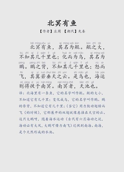 鹿鹿鱼鱼形容什么揭秘这个成语的真正含义