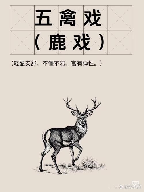 鹿鹿鱼鱼形容什么揭秘这个成语的真正含义