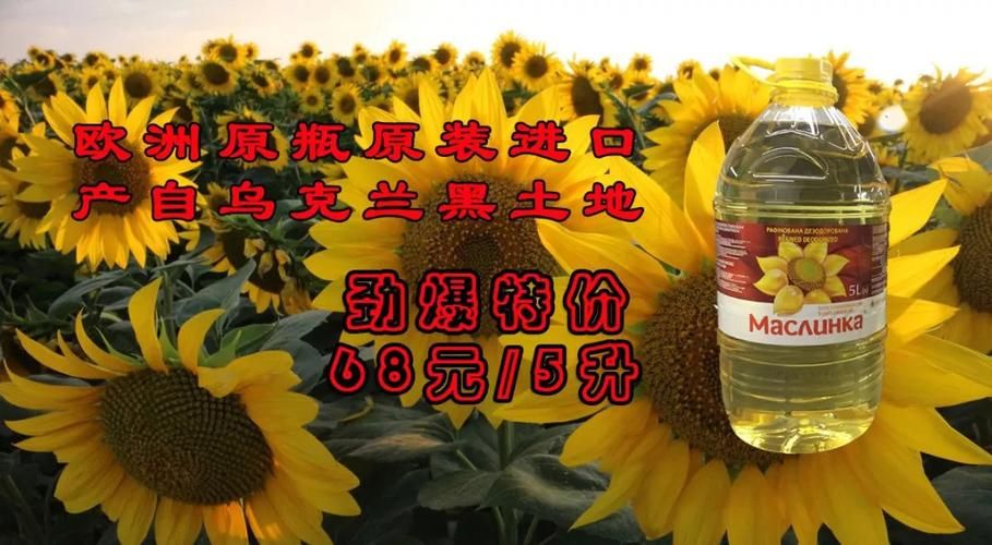 黑土地升级价格表指南 如何选择最优惠方案