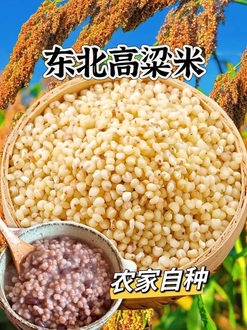 黑土地升级价格表指南 如何选择最优惠方案