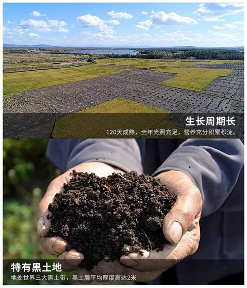 黑土地升级价格表指南 如何选择最优惠方案