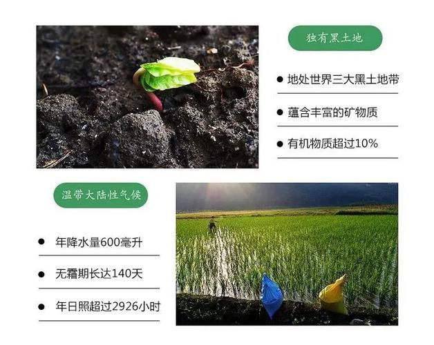 黑土地升级价格表指南 如何选择最优惠方案