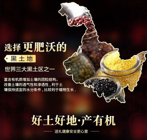 黑土地升级价格表指南 如何选择最优惠方案