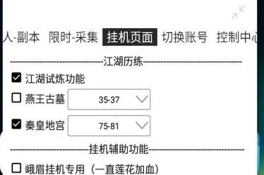 112天龙八部辅助安全吗会不会封号实测告诉你