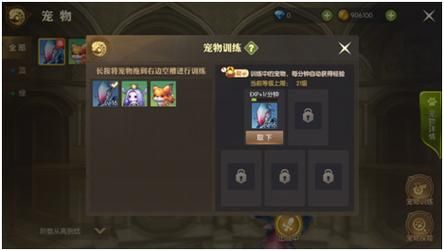 17173龙之谷宠物培养 如何获得最强战斗伙伴