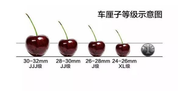 26mm和32mm怎么选这几点你一定要知道