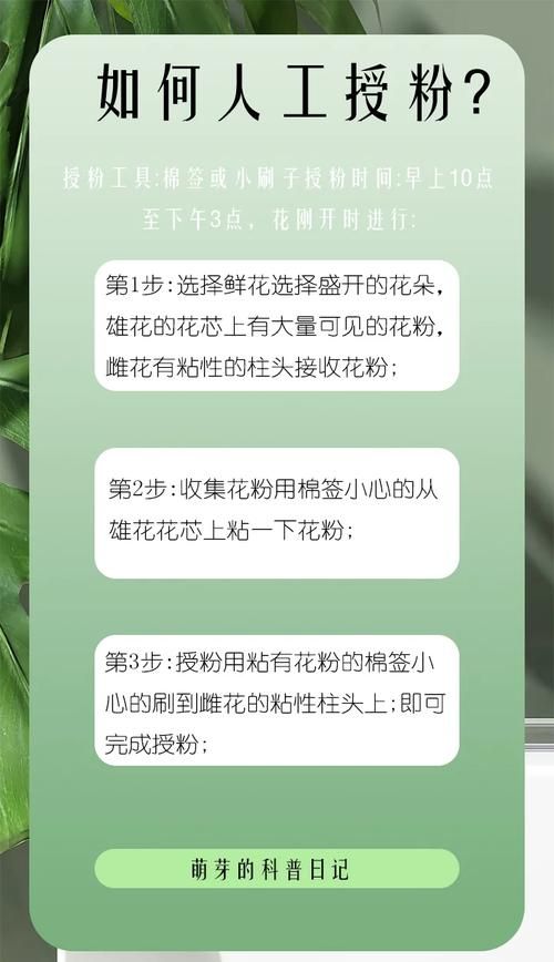3.17是什么节日 这些冷知识你了解多少
