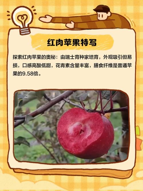30个苹果是什么梗 揭秘这个搞笑梗的由来