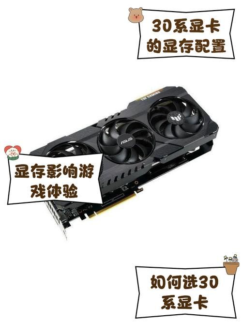 30系显卡什么时候发售具体时间终于公布了