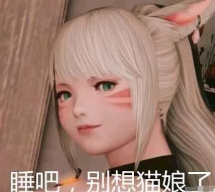 ff14拉拉肥捏脸教程 手把手教你打造可爱角色