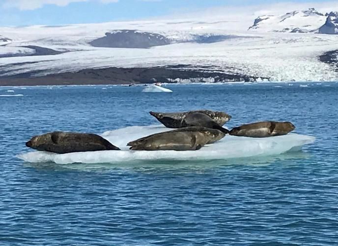 ice lakes冰湖奇观 探索世界上最美的冰冻湖泊