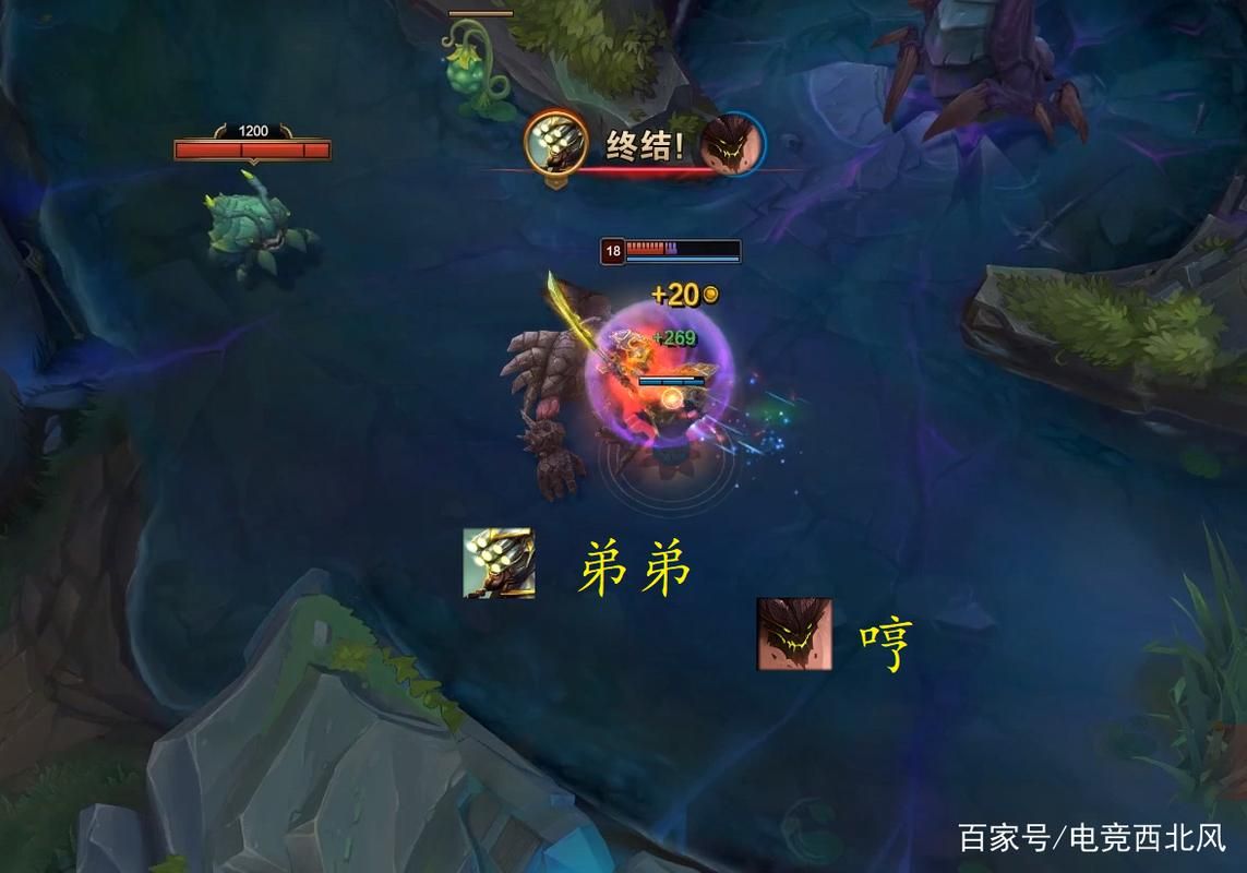 lol罗汉在哪直播 罗汉最新直播时间表
