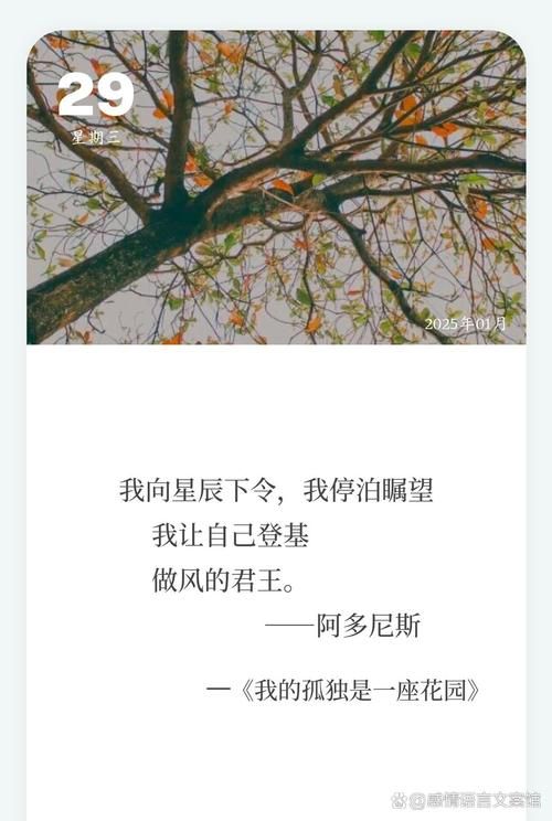 memoria歌词解析 每一句都藏着怎样的故事