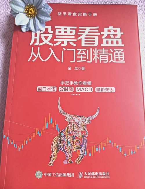 new trial实战指南教你如何快速上手