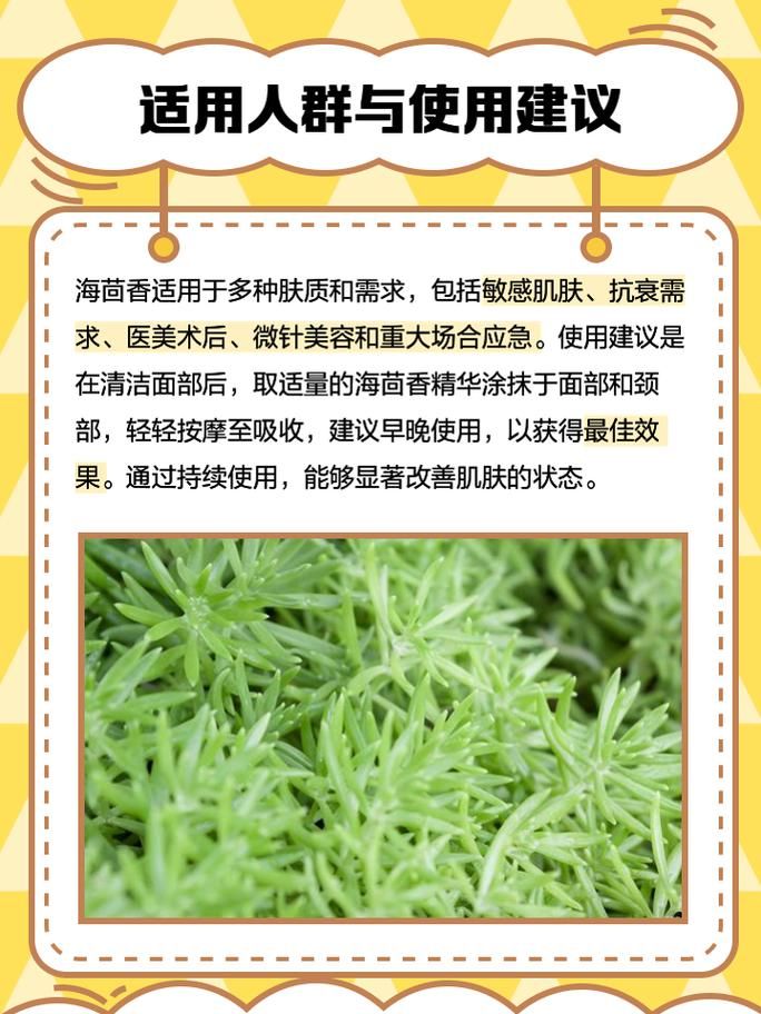 nicholena护肤品怎么样 专家解析成分与功效