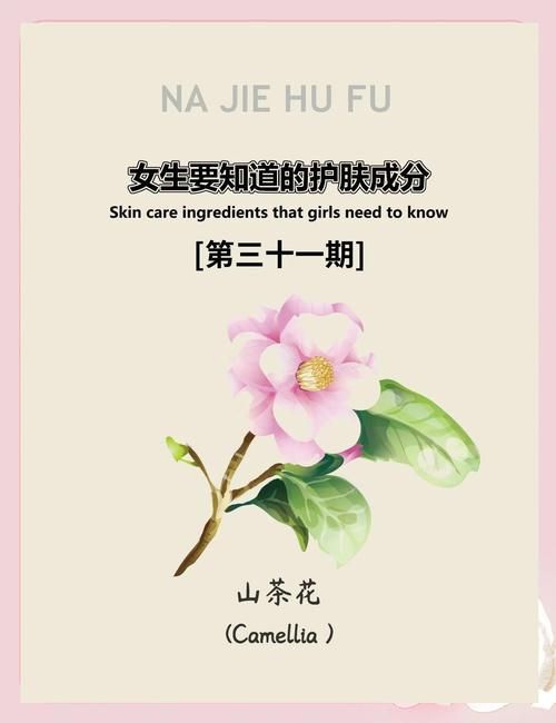 nicholena护肤品怎么样 专家解析成分与功效