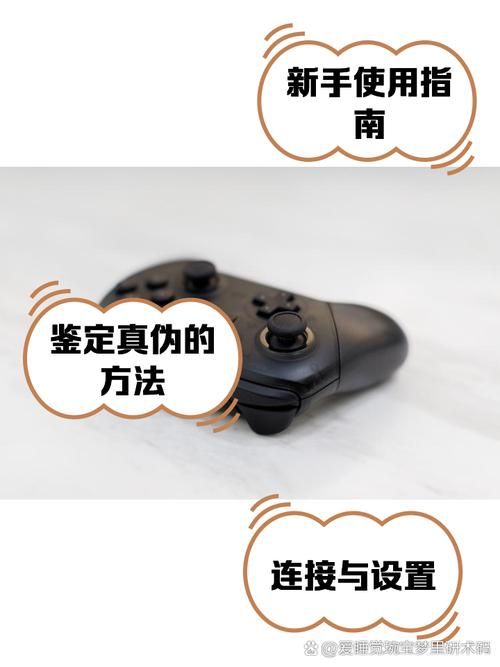 ns手柄怎么连电脑 详细步骤图文解析分享