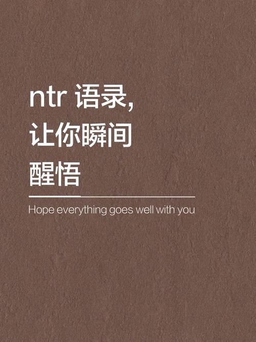 ntr是什么的简称 简单解释这个网络用语的含义