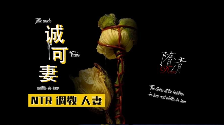 ntr是什么的简称 简单解释这个网络用语的含义