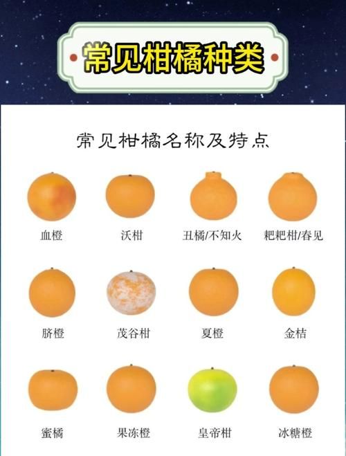 orangehrm对比其他hr软件哪个更适合中小企业使用