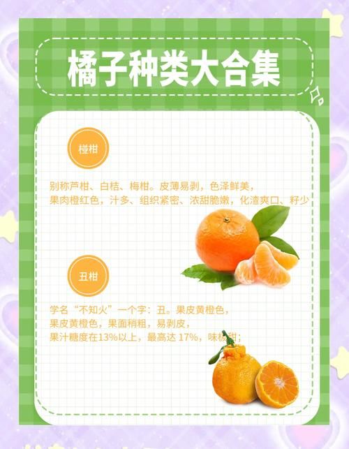 orangehrm对比其他hr软件哪个更适合中小企业使用