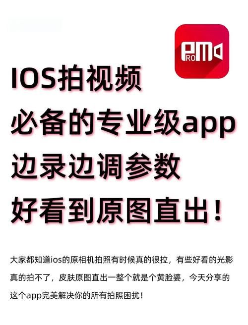 poladroid是什么软件拍照复古效果一键搞定