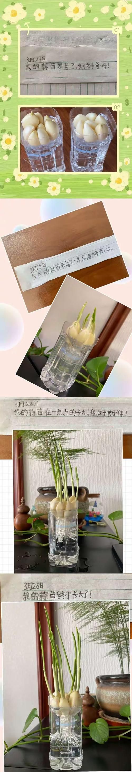 qq农场怎样升级快 高效种植与收获技巧大公开