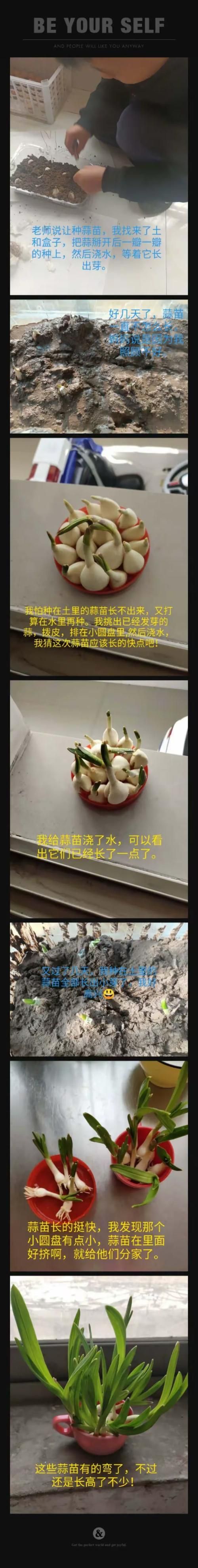 qq农场怎样升级快 高效种植与收获技巧大公开