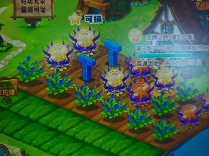 qq农场种啥最赚钱 这些植物让你金币翻倍