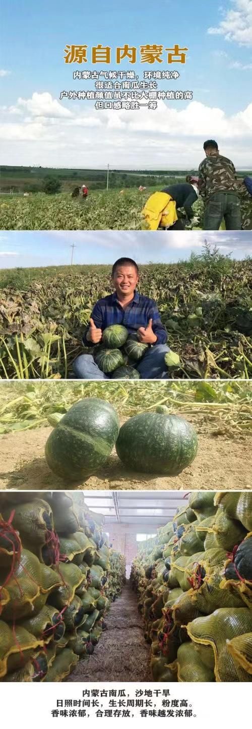 qq炫舞南瓜妖在哪刷 快速找到南瓜妖技巧