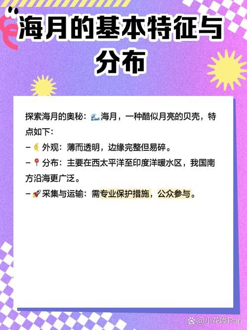 qq炫舞贝壳在哪里使用 贝壳用途及使用指南