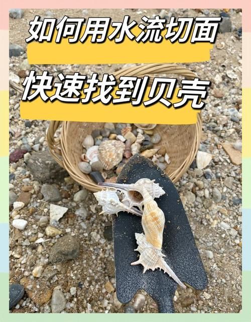 qq炫舞贝壳在哪里使用 贝壳用途及使用指南