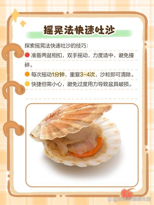 qq炫舞贝壳在哪里使用 贝壳用途及使用指南
