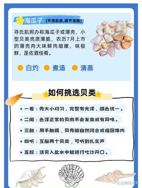 qq炫舞贝壳在哪里使用 贝壳用途及使用指南