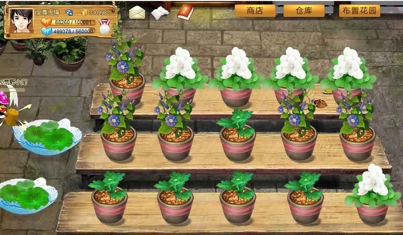qq玫瑰小镇辅助软件推荐 快速升级种植技巧分享