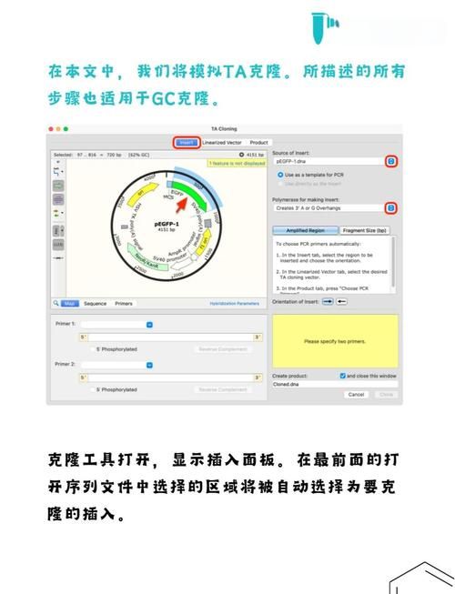 qq空间克隆器官网教你快速克隆好友空间