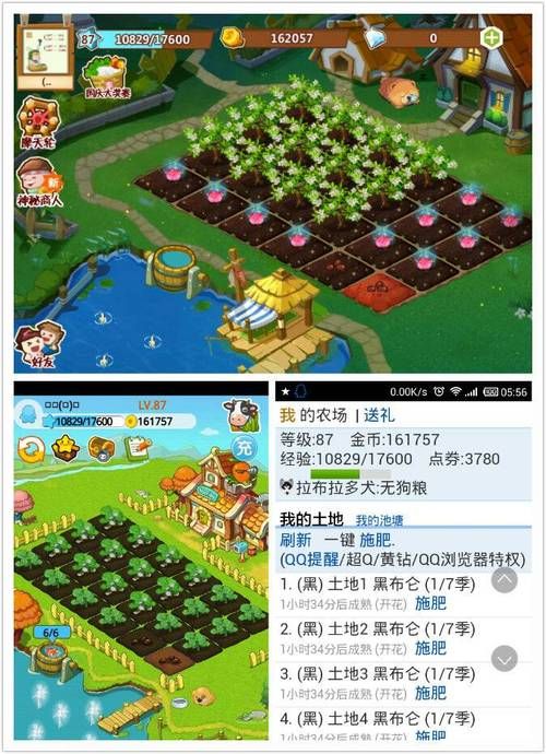 qq空间农场打不开的常见问题 看完你就明白了
