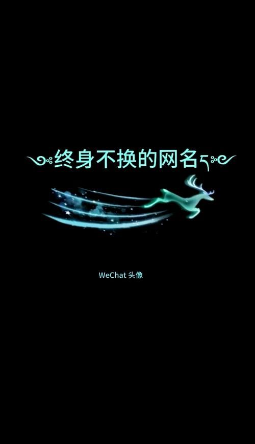 qq飞车名字符号有哪些 这些符号让你的名字更吸睛