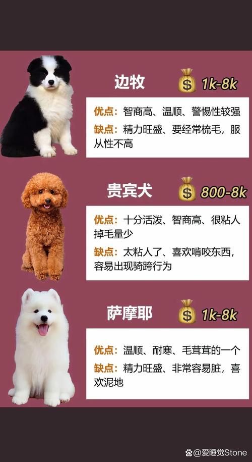 q宠大乐斗生命系数作用大 掌握这些让你的宠物无敌