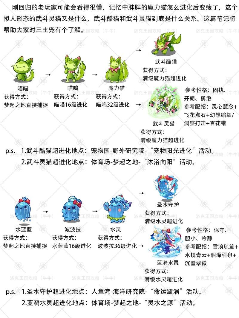 q宠大乐斗生命系数作用大 掌握这些让你的宠物无敌