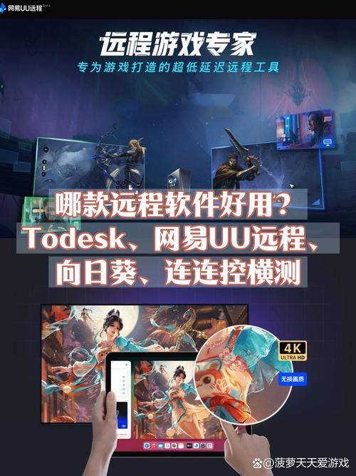 radmin影子版是什么如何使用这款远程控制软件
