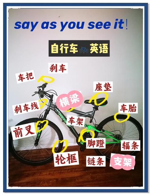 rider什么意思 简单解释rider的含义和用法