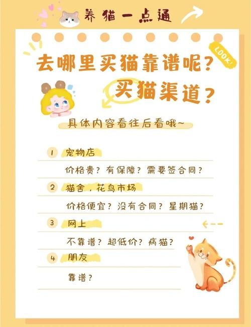 snoopy猫价格贵不贵 购买渠道和饲养成本