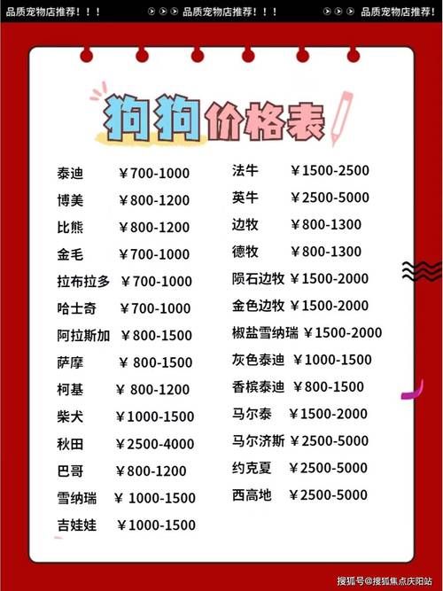 snoopy猫价格贵不贵 购买渠道和饲养成本